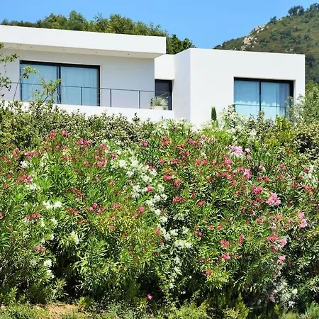 Contemporary With Tasteful Decor