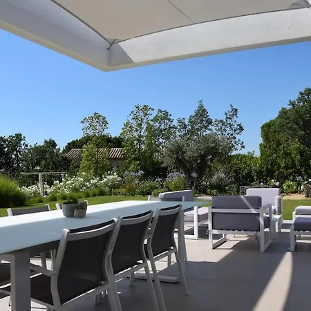 Contemporary With Tasteful Decor Daire