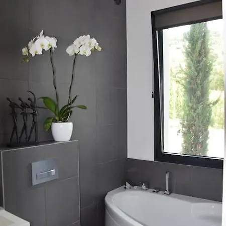 Contemporary With Tasteful Decor Daire